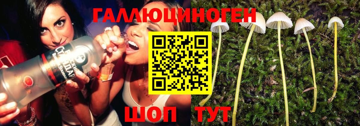 Псилоцибиновые грибы MAGIC MUSHROOMS  Вход с VPN  Дербент 
