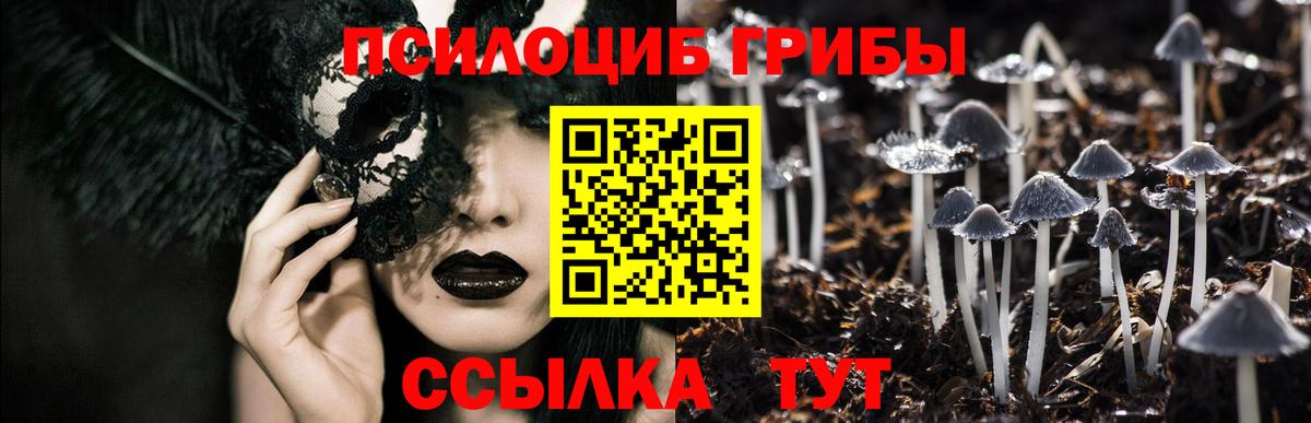 Галлюциногенные грибы GOLDEN TEACHER Дербент
